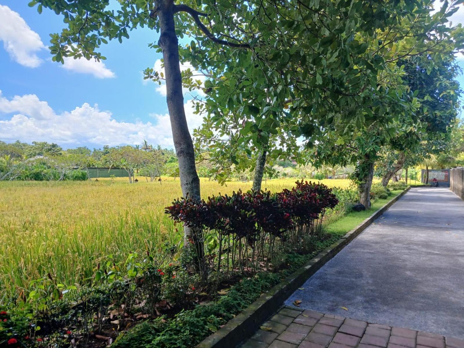 Kartika Dahayu Private Pool Villas Sukawati Kültér fotó